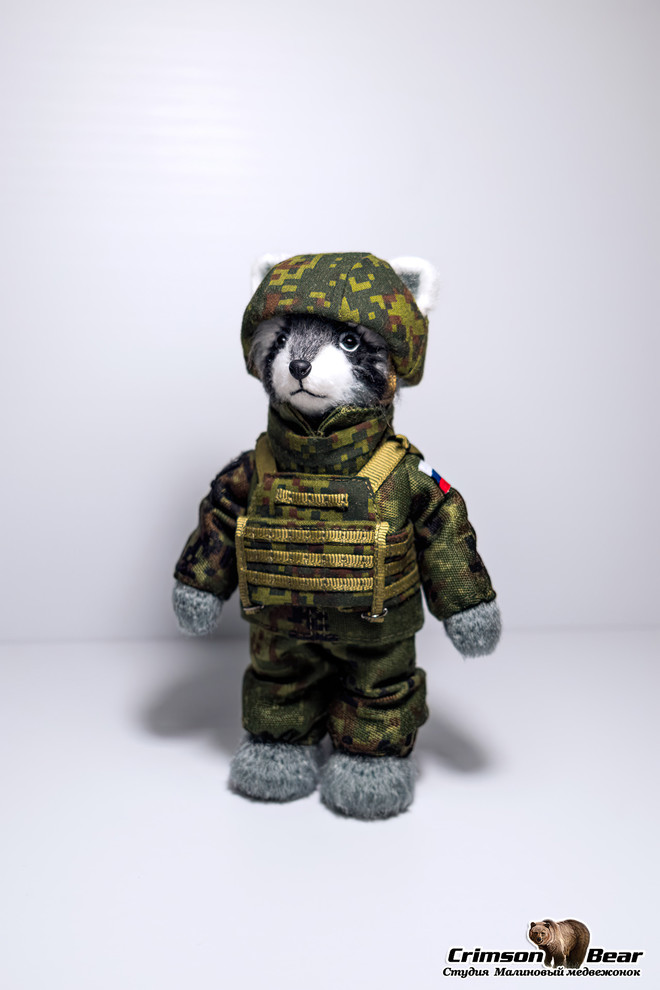 Енот в военной форме