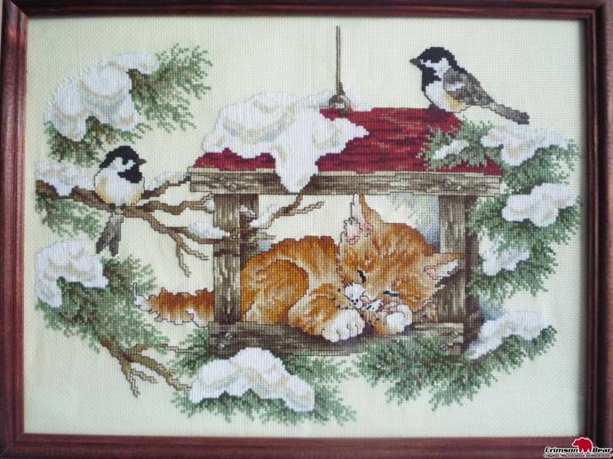 Спящий котенок